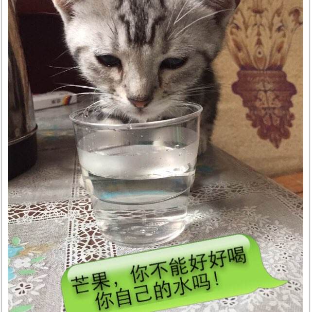 上阿尔萨斯大学学信网认证办理